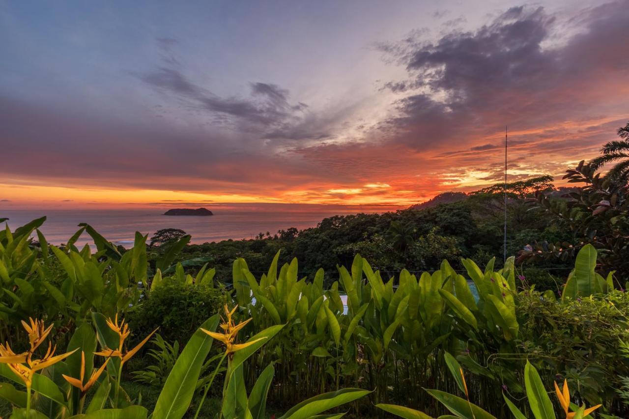 Villas de la Selva Manuel Antonio Eksteriør bilde